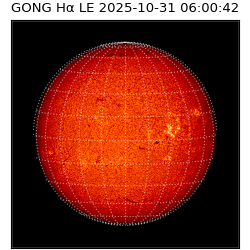 gong - 2025-10-31T06:00:42