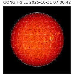 gong - 2025-10-31T07:00:42