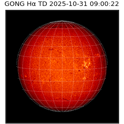 gong - 2025-10-31T09:00:22