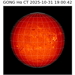 gong - 2025-10-31T19:00:42