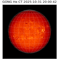 gong - 2025-10-31T20:00:42