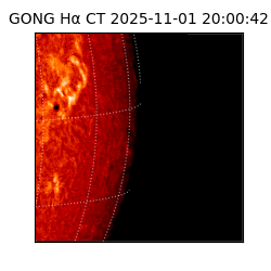 gong - 2025-11-01T20:00:42