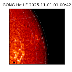 gong - 2025-11-01T01:00:42