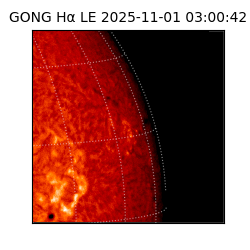 gong - 2025-11-01T03:00:42