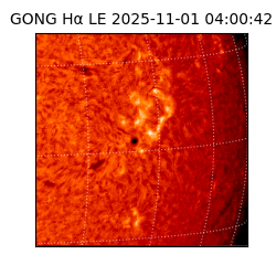 gong - 2025-11-01T04:00:42
