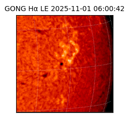 gong - 2025-11-01T06:00:42