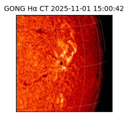 gong - 2025-11-01T15:00:42