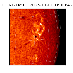 gong - 2025-11-01T16:00:42