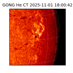 gong - 2025-11-01T18:00:42