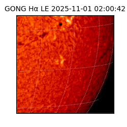 gong - 2025-11-01T02:00:42