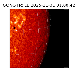 gong - 2025-11-01T01:00:42