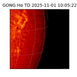 gong - 2025-11-01T10:05:22