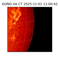 gong - 2025-11-01T11:00:42