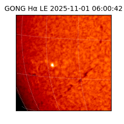 gong - 2025-11-01T06:00:42