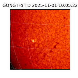 gong - 2025-11-01T10:05:22