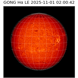gong - 2025-11-01T02:00:42