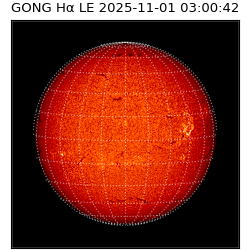 gong - 2025-11-01T03:00:42
