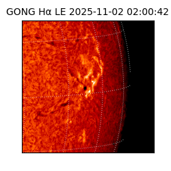 gong - 2025-11-02T02:00:42