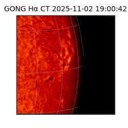gong - 2025-11-02T19:00:42