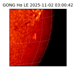 gong - 2025-11-02T03:00:42