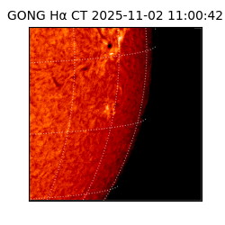gong - 2025-11-02T11:00:42