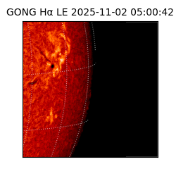 gong - 2025-11-02T05:00:42