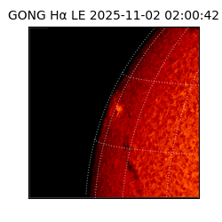 gong - 2025-11-02T02:00:42