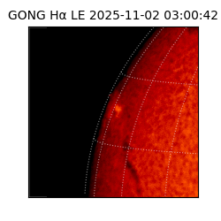 gong - 2025-11-02T03:00:42