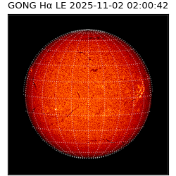 gong - 2025-11-02T02:00:42