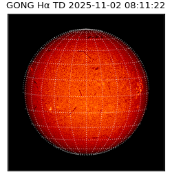 gong - 2025-11-02T08:11:22