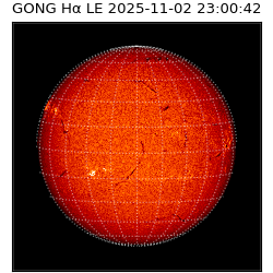 gong - 2025-11-02T23:00:42