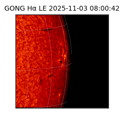 gong - 2025-11-03T08:00:42