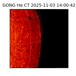 gong - 2025-11-03T14:00:42