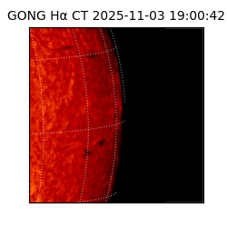 gong - 2025-11-03T19:00:42