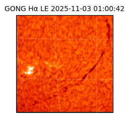 gong - 2025-11-03T01:00:42