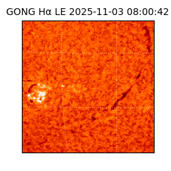 gong - 2025-11-03T08:00:42