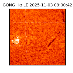 gong - 2025-11-03T09:00:42