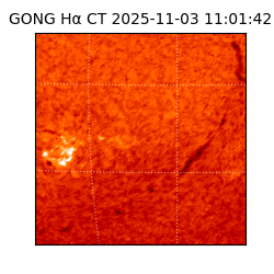 gong - 2025-11-03T11:01:42