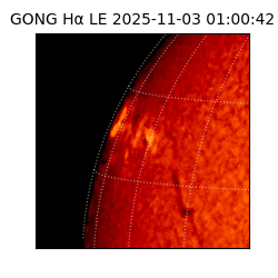 gong - 2025-11-03T01:00:42