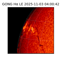 gong - 2025-11-03T04:00:42