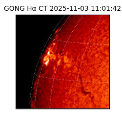 gong - 2025-11-03T11:01:42