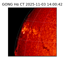 gong - 2025-11-03T14:00:42