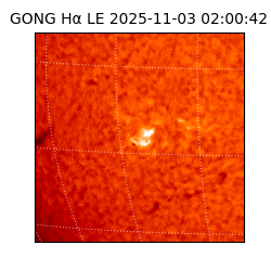 gong - 2025-11-03T02:00:42