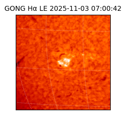 gong - 2025-11-03T07:00:42