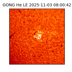 gong - 2025-11-03T08:00:42