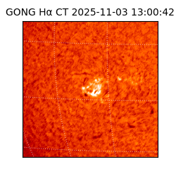 gong - 2025-11-03T13:00:42