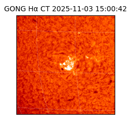 gong - 2025-11-03T15:00:42