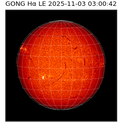 gong - 2025-11-03T03:00:42