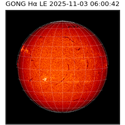 gong - 2025-11-03T06:00:42