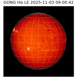 gong - 2025-11-03T09:00:42